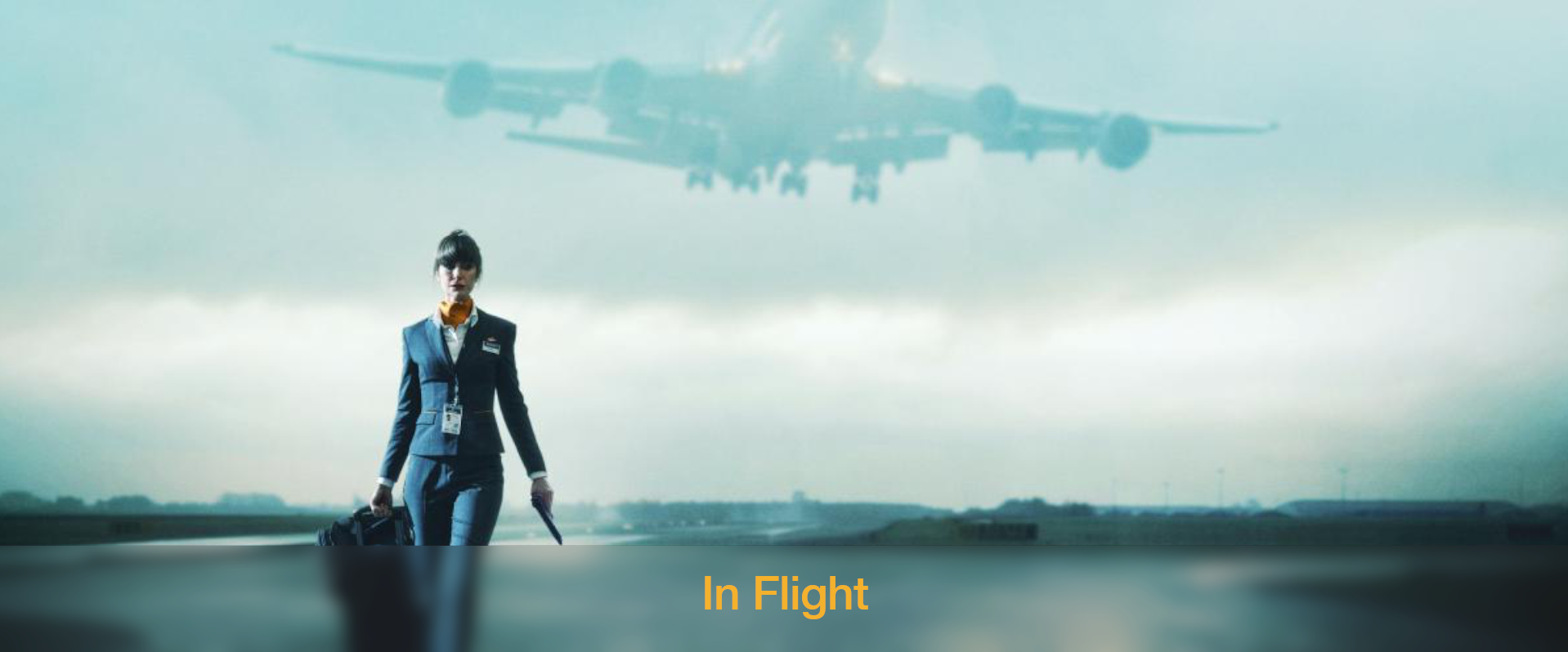 In Flight
